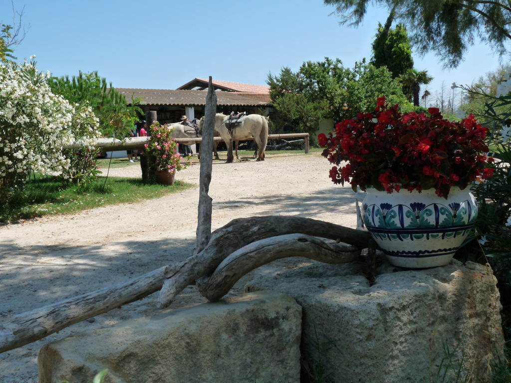 Bergerie D'Alivon En Camargue Bed & Breakfast Albaron Екстериор снимка