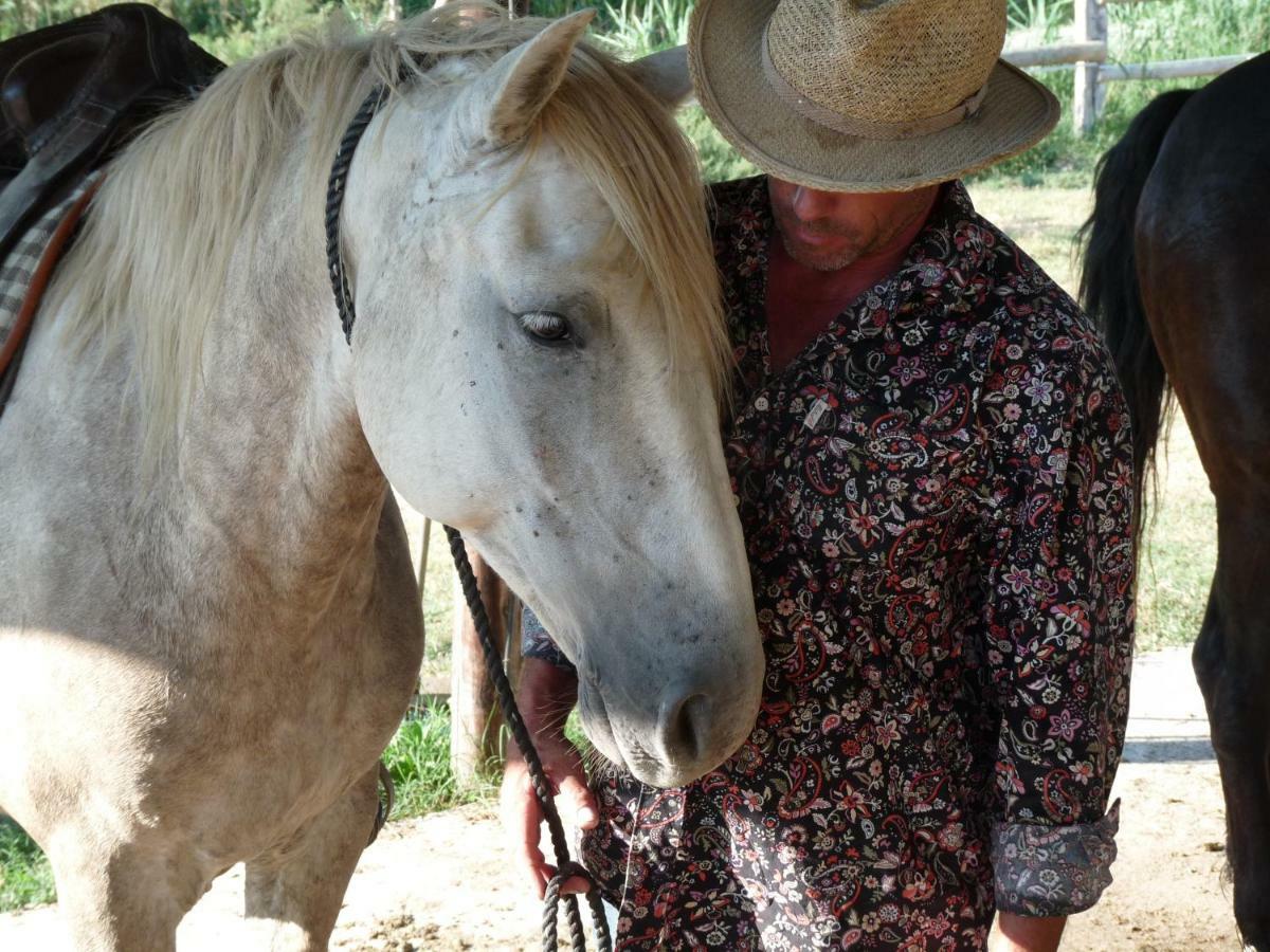 Bergerie D'Alivon En Camargue Bed & Breakfast Albaron Екстериор снимка